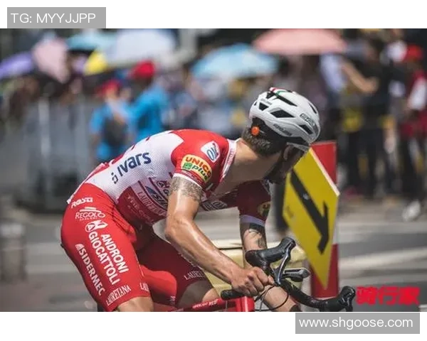 法国与乌拉圭激战赛场精彩瞬间回顾与分析