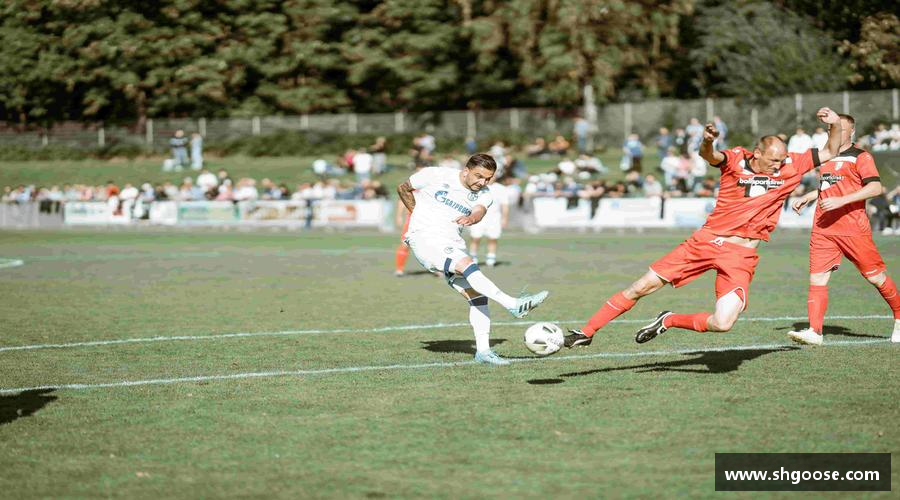 BD半岛官网版无畏向前，力争登顶